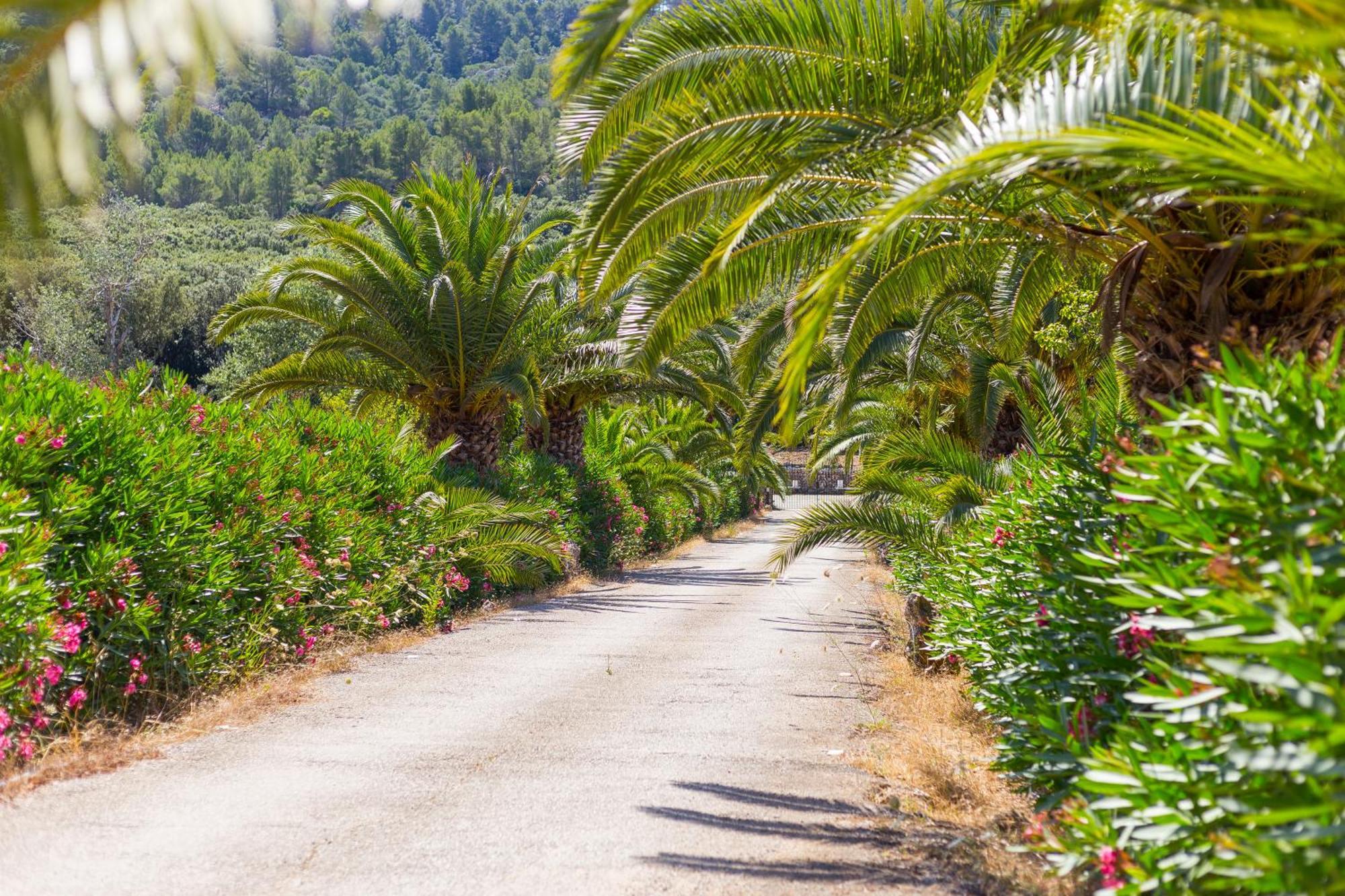 Fangar Agroturismo Campanet Eksteriør bilde